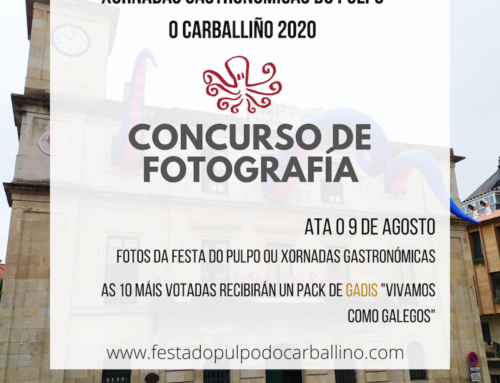 Photography contest “The best octopus is never missing in O Carballiño”